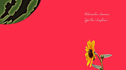 Watermelon Summer Type Bee “Sunflower”